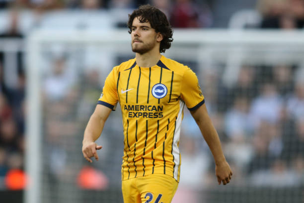 自身組織架 自身組織架